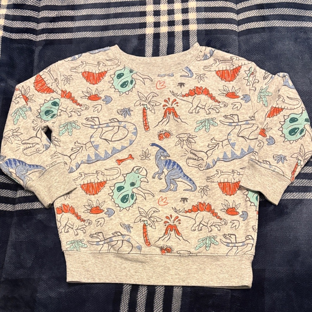 Jumping Beans Dinosaur Print Kids Sweatshirt